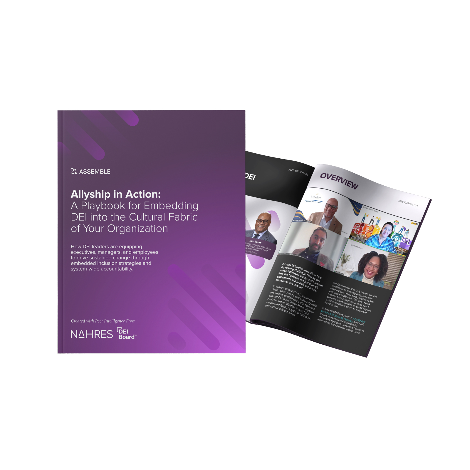 2025 DEI Board - Allyship and Inclusive Workplaces.pdf - Landing page image - 400x400