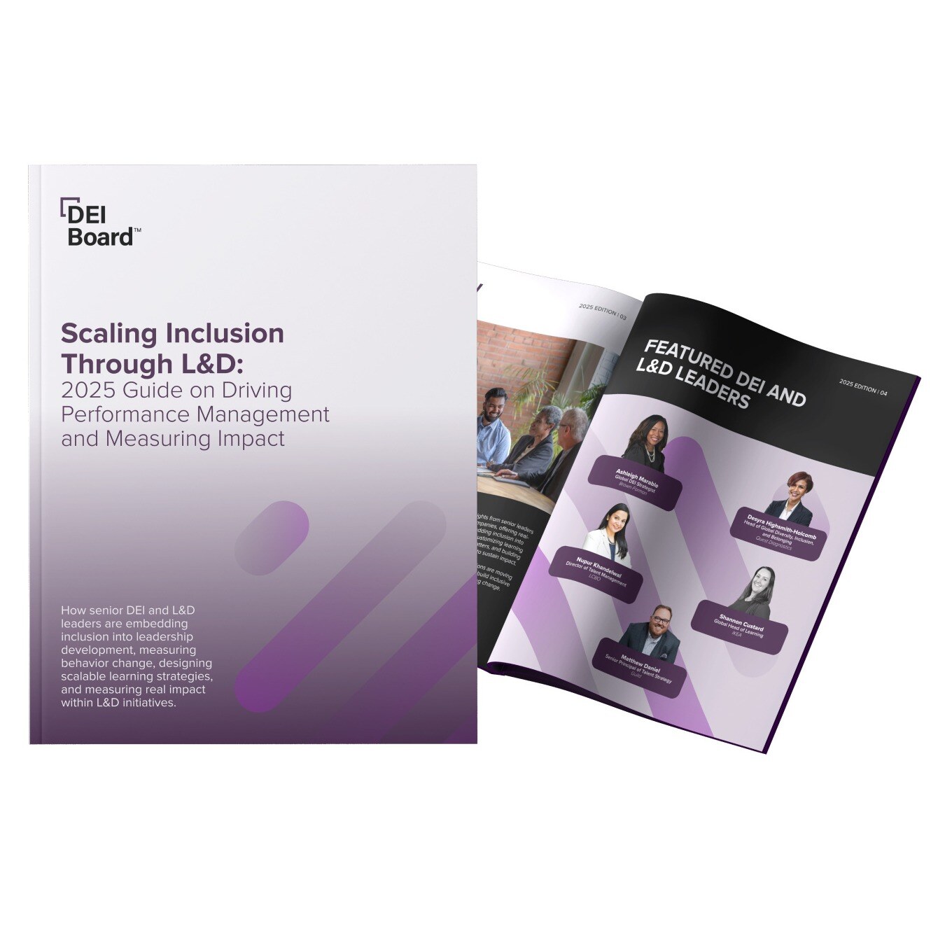 DEI Whitepaper April 2025  - Landing page image - 400x400