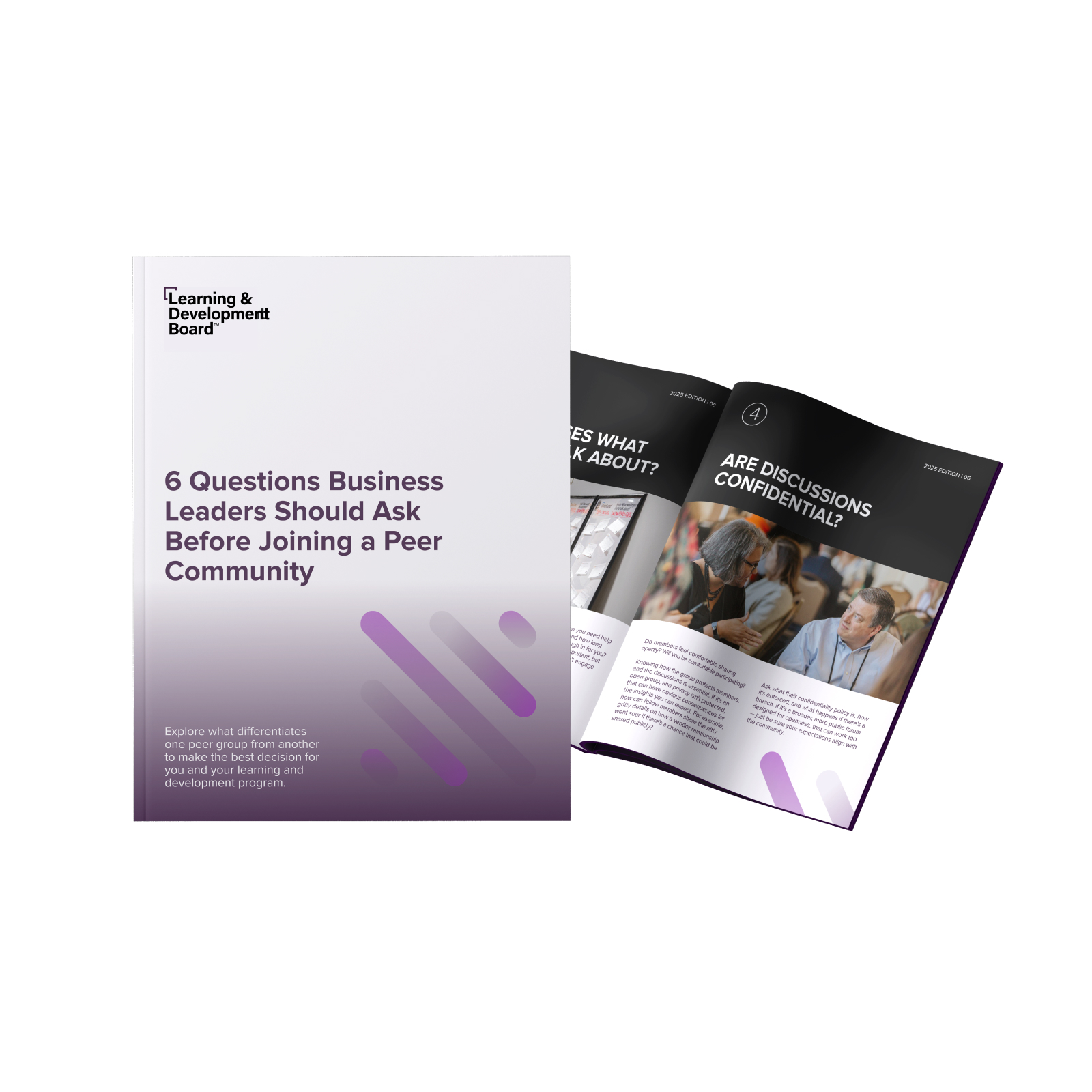 LDB Whitepaper April 2025  - Landing page image - 400x400 (1)