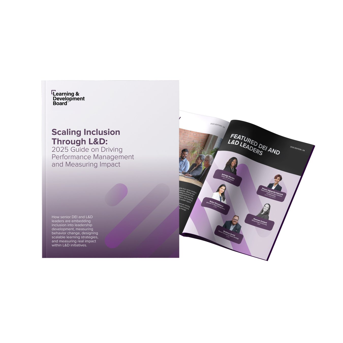 LDB Whitepaper April 2025  - Landing page image - 400x400