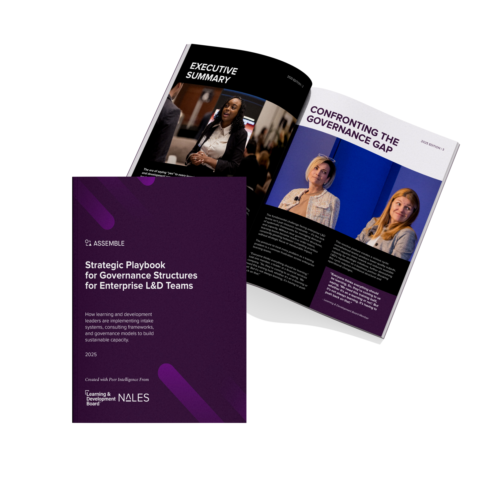 LDB Whitepaper Sep 2025  - Landing page image - 400x400